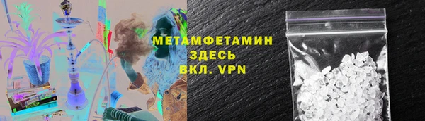 прущие грибы Покачи