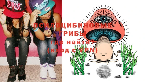 ГАЛЛЮЦИНОГЕННЫЕ ГРИБЫ Алексеевка