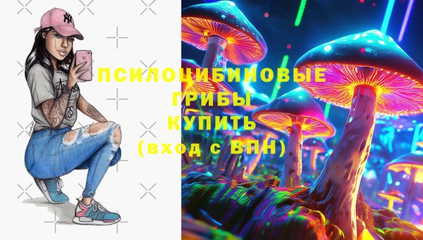 ГАЛЛЮЦИНОГЕННЫЕ ГРИБЫ Алексеевка