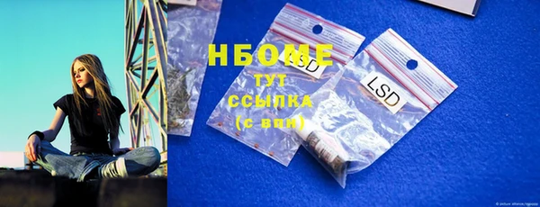 прущие грибы Алзамай