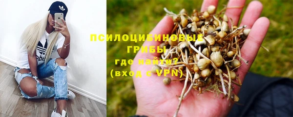 a pvp Алексин