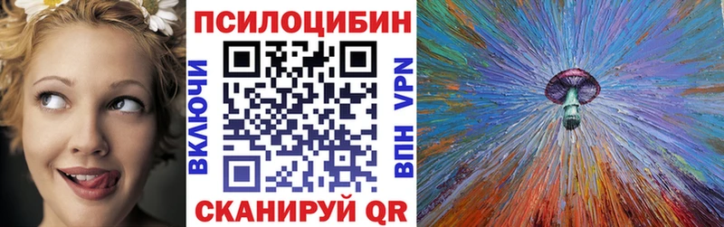 Псилоцибиновые грибы Psilocybine cubensis  Ленинск-Кузнецкий 